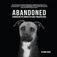 Abandoned: Chronicling the Journeys of Once-Forsaken Dogs