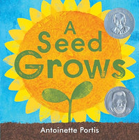 A Seed Grows