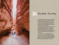 The Call of the Wild and Free: Reclaiming the Wonder in Your Child's Education, A New Way to Homeschool