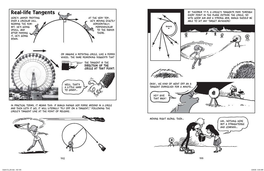 The Cartoon Guide to Geometry: An Illustrated and Comprehensive Mathematical Primer on Geometry
