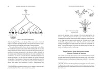 A Brief History of Intelligence