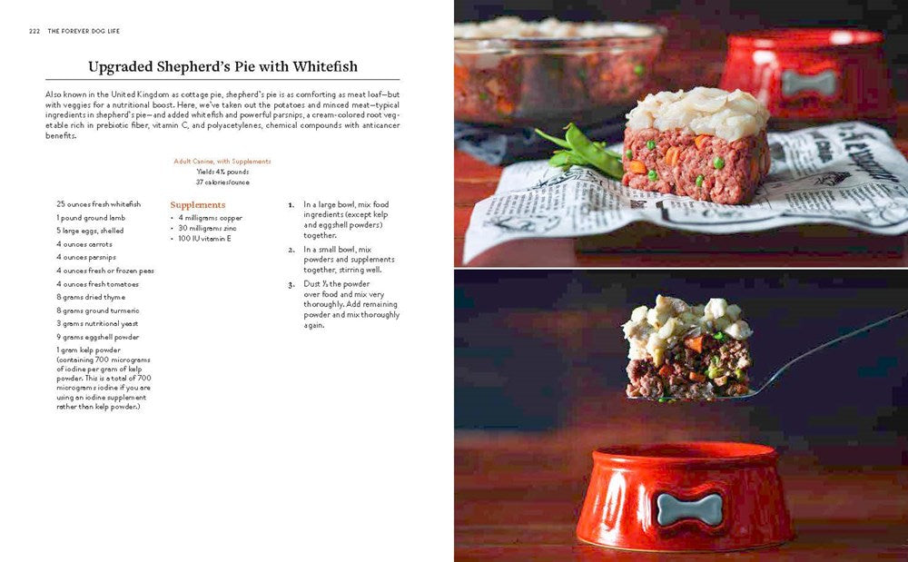 The Forever Dog Life