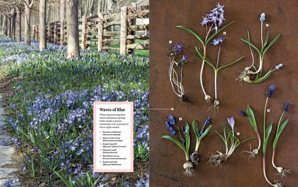 Martha Stewart's Gardening Handbook