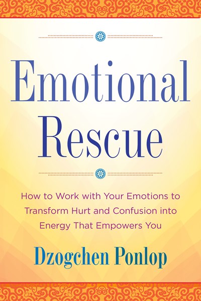 Emotional Rescue: How to Work with Your Emotions to Transform Hurt and Confusion into Energy That Empowers You