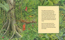 The Great Kapok Tree: A Tale of the Amazon Rain Forest