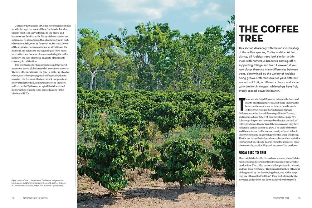 The World Atlas of Coffee: From Beans to Brewing -- Coffees Explored, Explained and Enjoyed (2nd Edition, Revised)