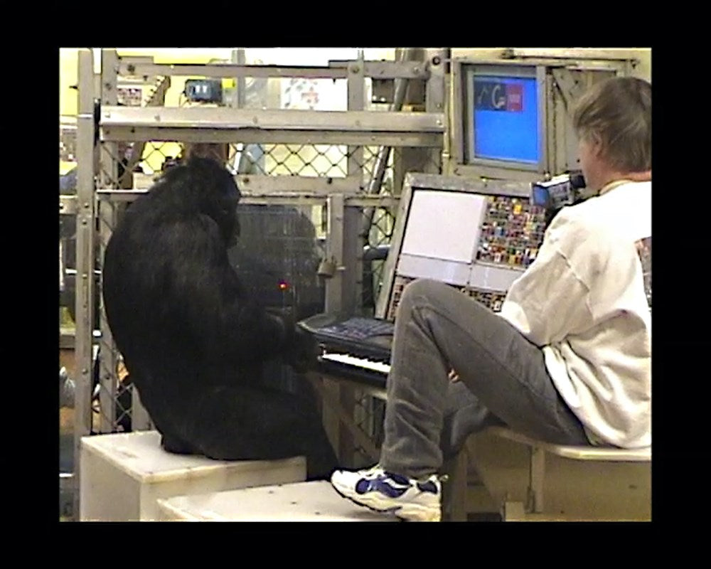 Music, Math, and Mind