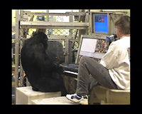 Music, Math, and Mind