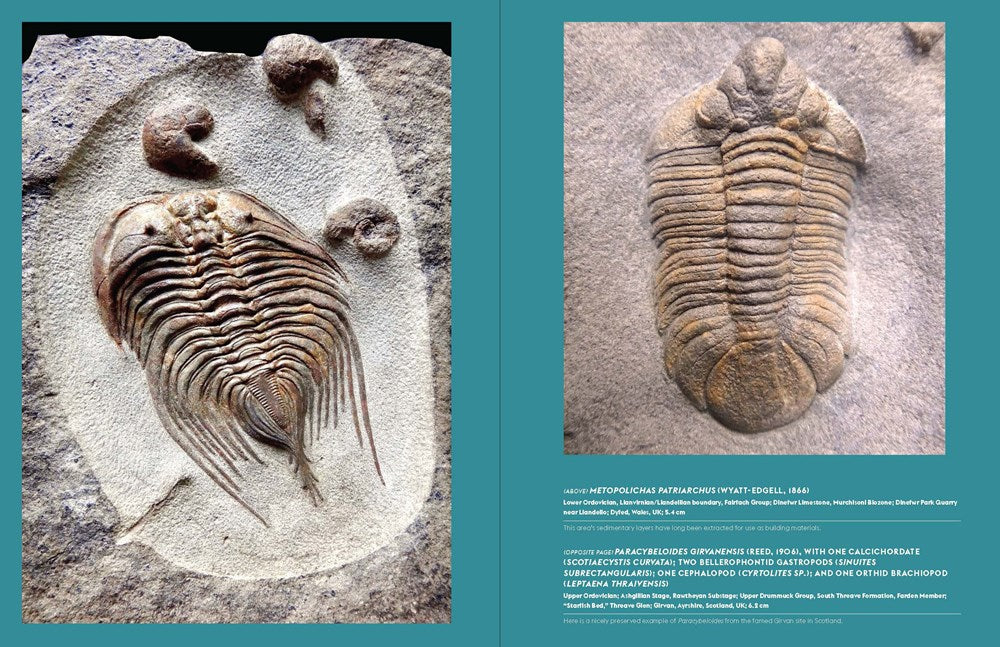 Travels with Trilobites