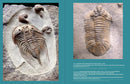 Travels with Trilobites