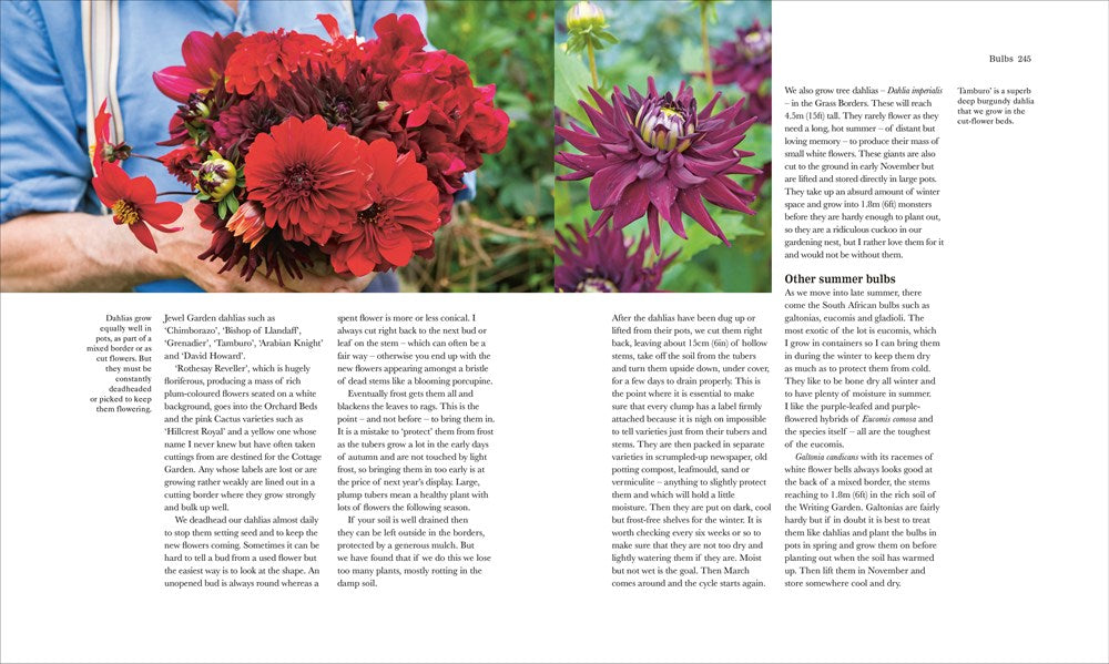 The Complete Gardener: A Practical, Imaginative Guide to Every Aspect of Gardening