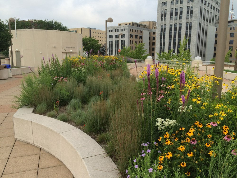 Prairie Up: An Introduction to Natural Garden Design