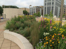 Prairie Up: An Introduction to Natural Garden Design