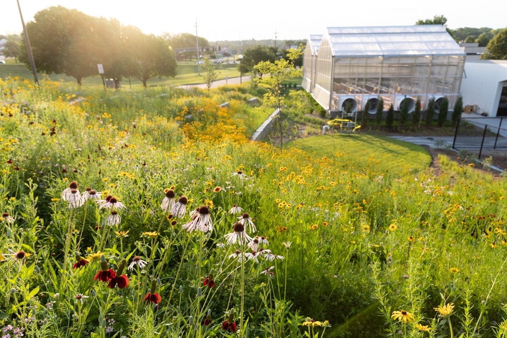 Prairie Up: An Introduction to Natural Garden Design