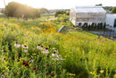 Prairie Up: An Introduction to Natural Garden Design