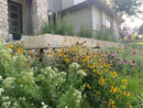Prairie Up: An Introduction to Natural Garden Design