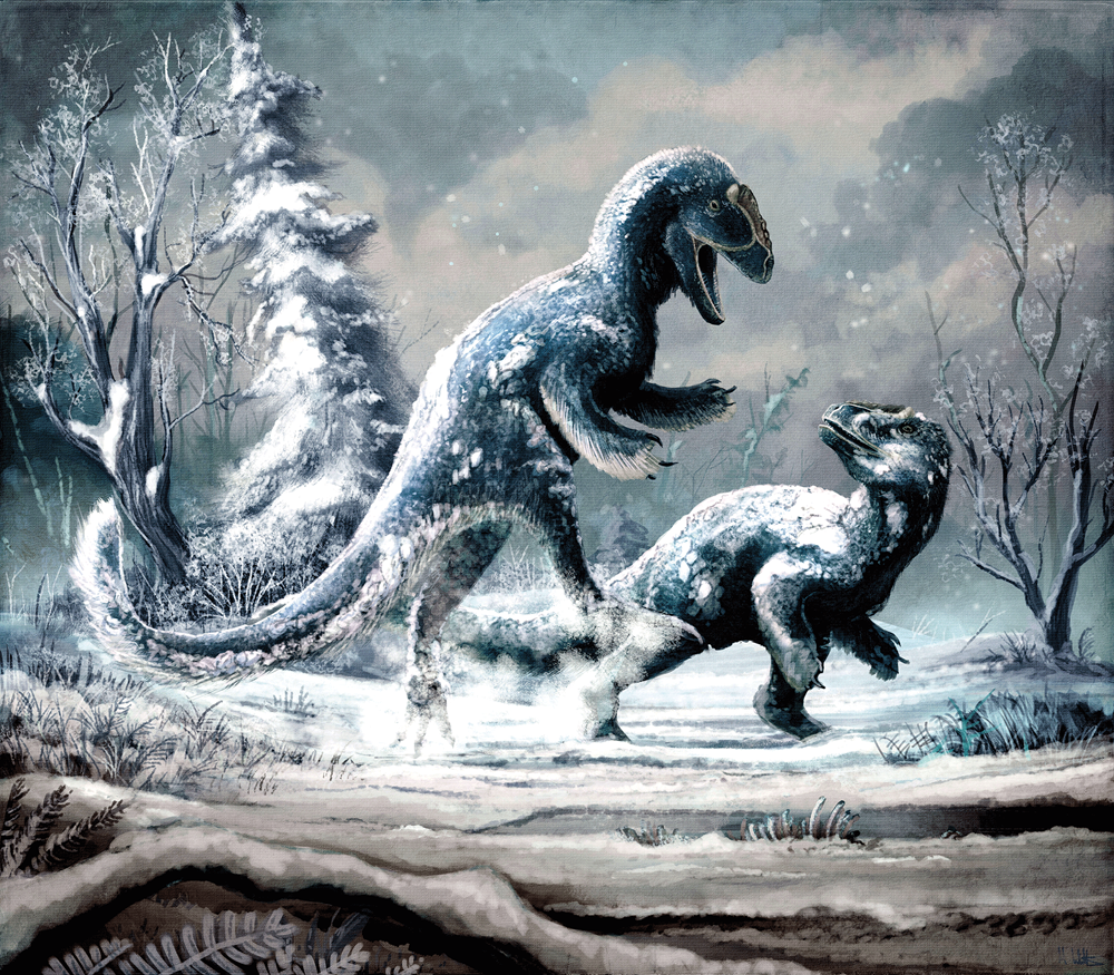 Life through the Ages II