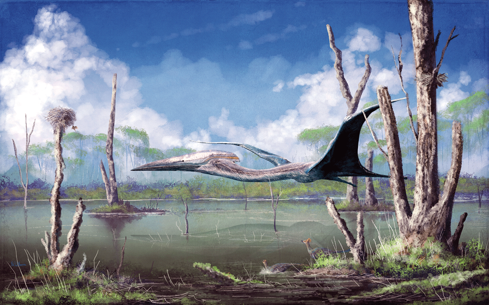 Life through the Ages II