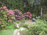 Gardening with Native Plants of the Pacific Northwest