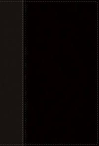 NIV, Personal Size Bible, Large Print, Leathersoft, Black, Red Letter, Comfort Print  (Large type / large print)