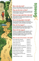 NIV, Adventure Bible, Hardcover, Full Color