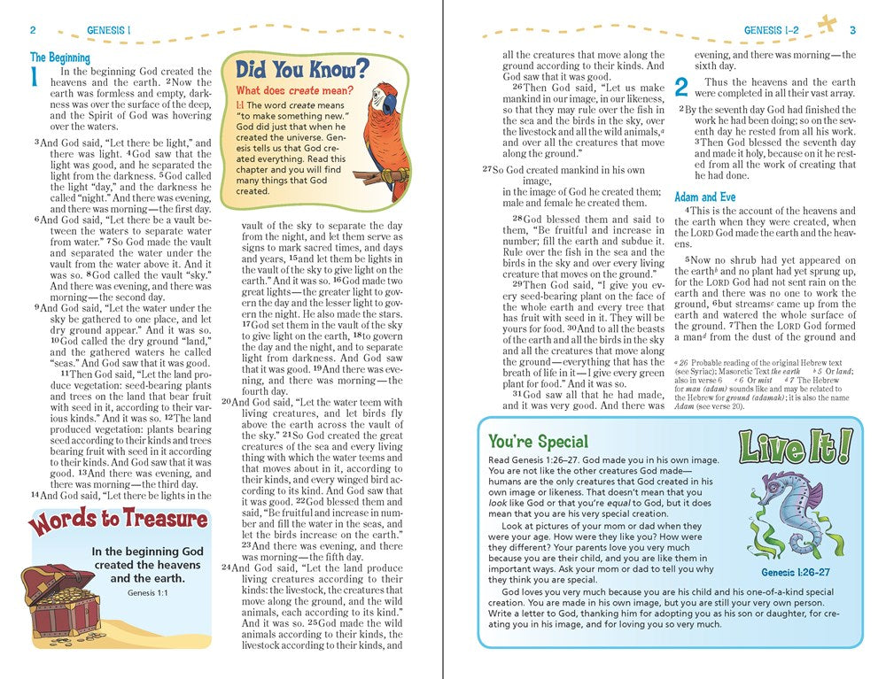 NIV, Adventure Bible, Leathersoft, Pink, Full Color  (Revised)