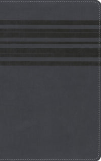 NIrV, Holy Bible, Large Print, Leathersoft, Blue