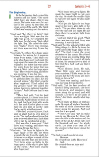 NIrV, Adventure Bible for Early Readers, Leathersoft, Pink, Full Color