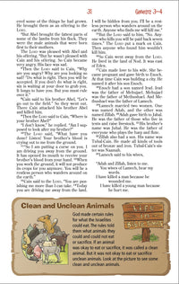 NIrV, Adventure Bible for Early Readers, Leathersoft, Pink, Full Color