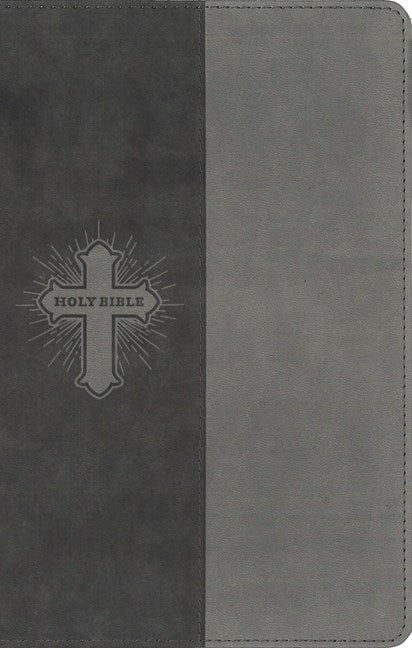 NIV, Bible for Kids, Leathersoft, Gray, Red Letter, Comfort Print: Thinline Edition