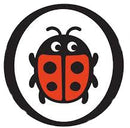 12 Rules for Life: An Antidote to Chaos