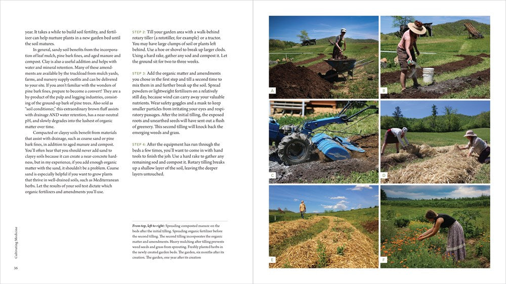 The Healing Garden: Cultivating and Handcrafting Herbal Remedies