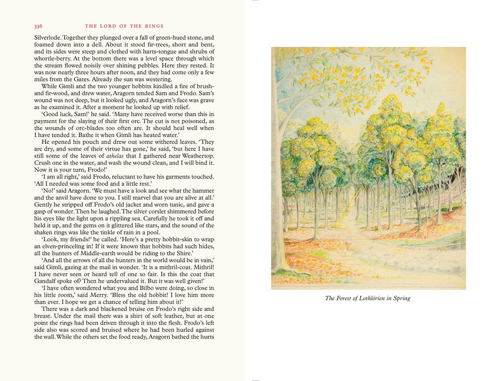 The Lord of the Rings Illustrated by the Author