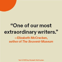 The Book of Goose: A Novel