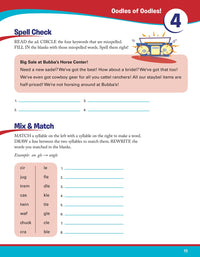 3rd Grade Jumbo Reading Success Workbook