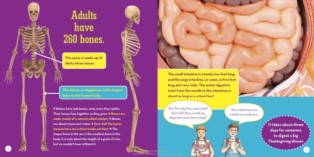 Magic Tree House Incredible Fact Book