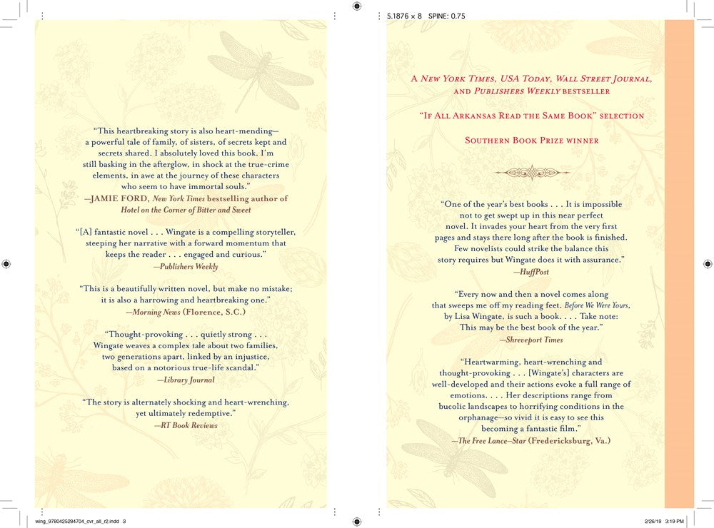 Before We Were Yours: A Novel