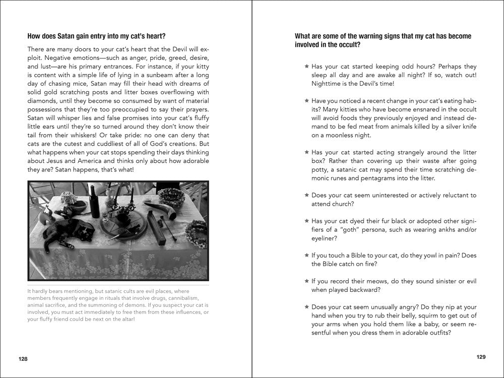 How to Talk to Your Cat About Gun Safety: And Abstinence, Drugs, Satanism, and Other Dangers That Threaten Their Nine Lives