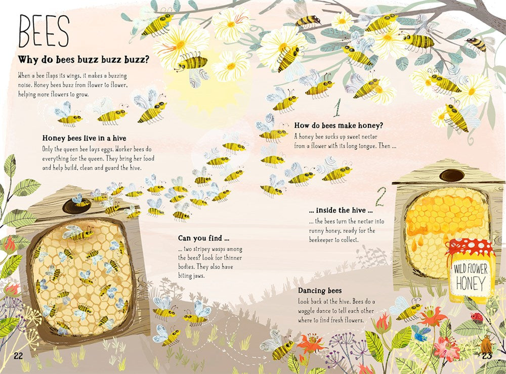 The Big Book of Bugs