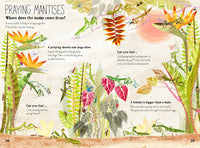 The Big Book of Bugs