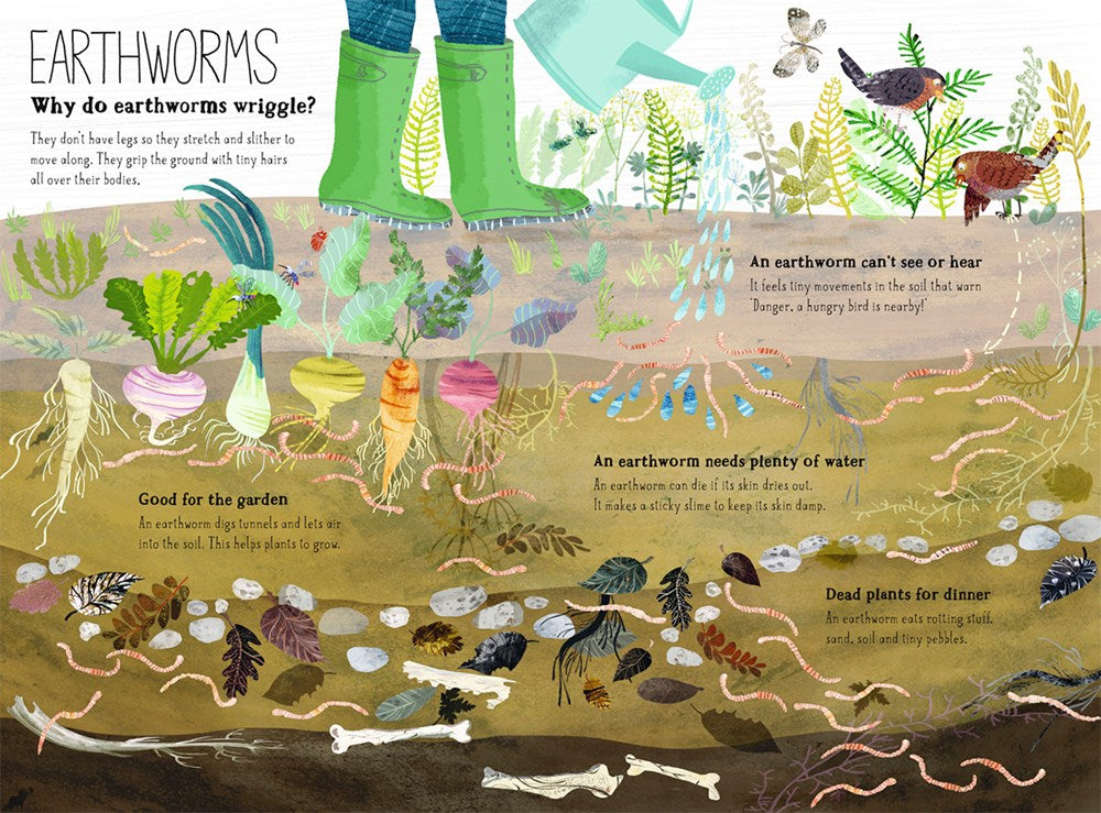 The Big Book of Bugs