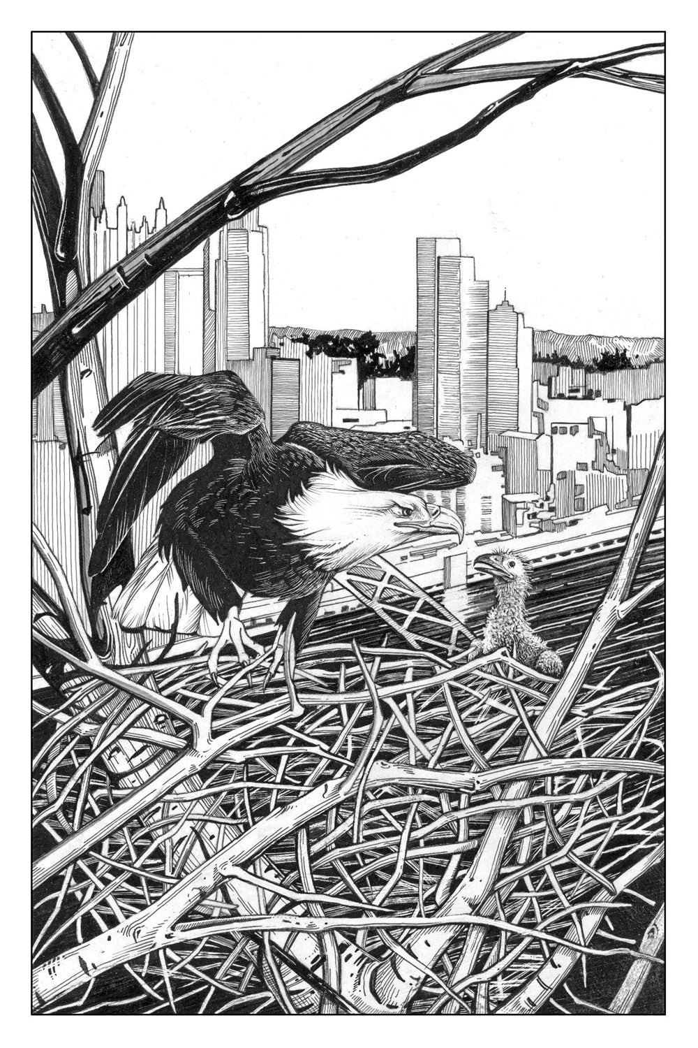 The Accidental Ecosystem