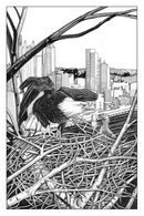 The Accidental Ecosystem