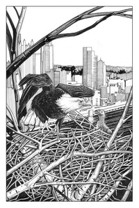 The Accidental Ecosystem