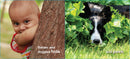 The Babies and Doggies Book