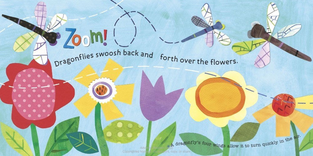 Hello, World! Backyard Bugs