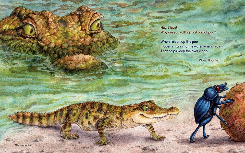 Steve the Dung Beetle on a Roll