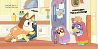 Bluey: Grannies