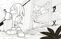 Sonic and Shadow: The Official Coloring Book (Sonic the Hedgehog)