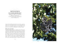 The Bay Area Forager